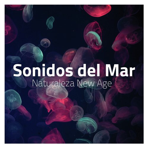 Sonidos del Mar cover art