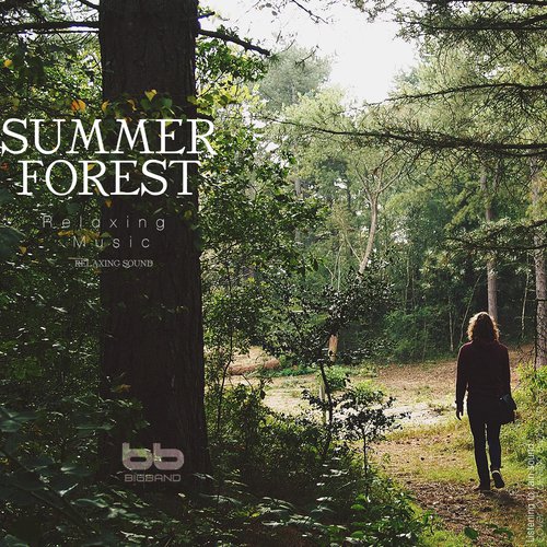 Summer Forest for Healing