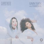 Surrender (Stranger Remix)