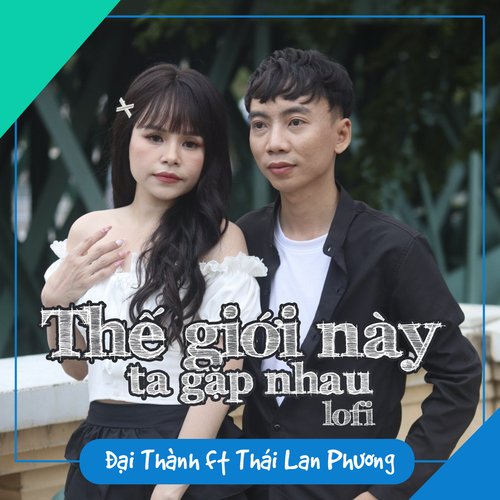 Thế Giới Này Ta Gặp Nhau (Lofi)_poster_image