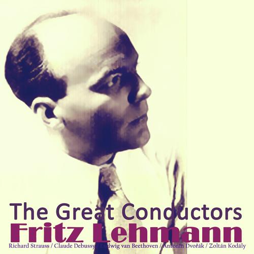 Serenade for String Orchestra in E Major, Op. 22, B. 52: II. Menuetto - Allegro Con Moto (Tempo Di Valse) cover art