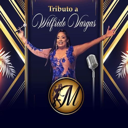 Tributo A Wilfrido Vargas cover art