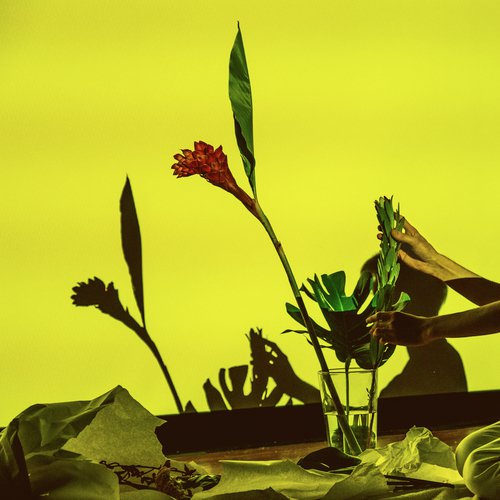 The Secret Lives Of Plankton cover art