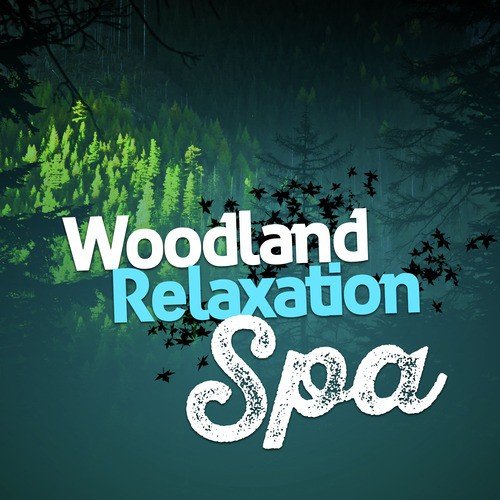 Woodland Relaxation Spa_poster_image