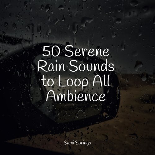 50 Loopable Rain Sounds for Meditation and Sleep