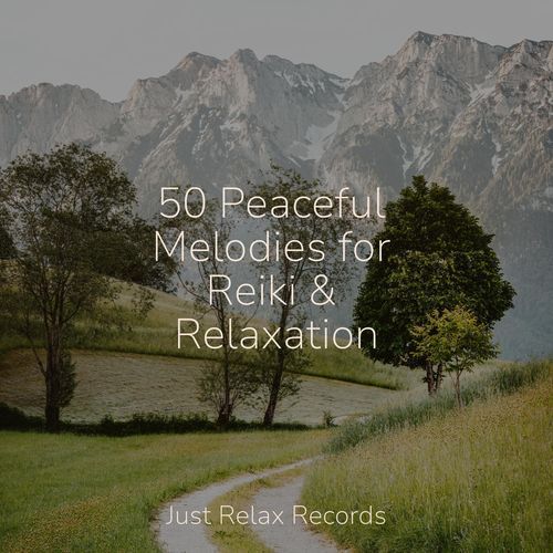 50 Peaceful Melodies for Reiki & Relaxation_poster_image