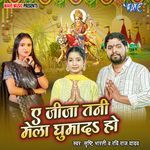 Ae Jija Tani Mela Ghumda Ho