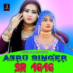 Ajru Singer SR 4646