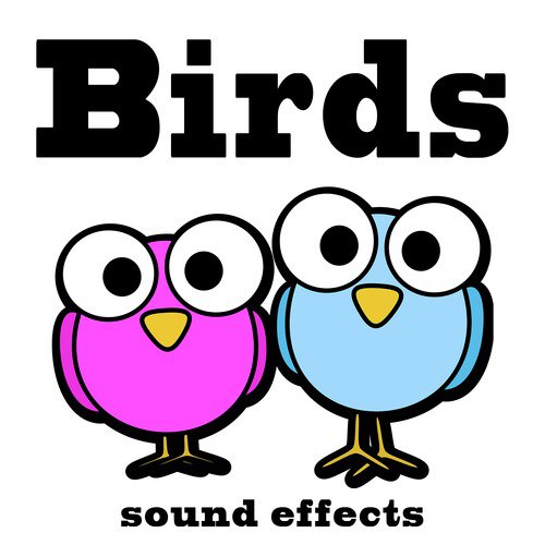 bird sound clipart free