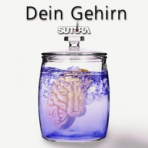 Dein Gehirn