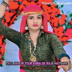 Dilli Jaipur Tour Kara De Raja Matbare