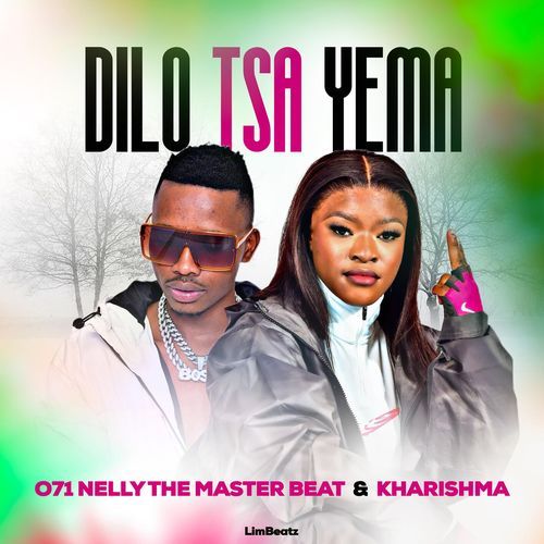 Dilo Tsa Yema cover art