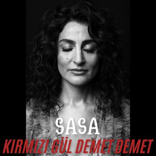 Kırmızı Gül Demet Demet