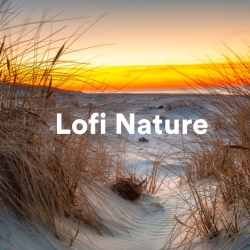 Lofi Nature