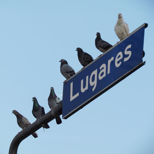 Lugares_poster_image