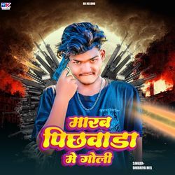 Marab Pichhawada Me Goli