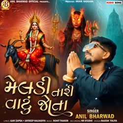 Meldi Tari Vatu Jota