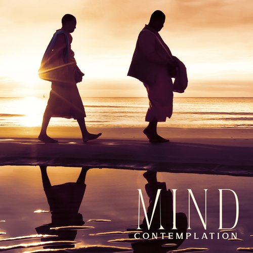 Mind Contemplation - Meditation Music Calming Thoughts, Focusing on the Mind, Feelings and Emotions