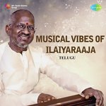 Musical Vibes Of Ilaiyaraaja