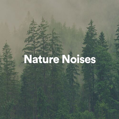 Nature Noises, Pt. 35