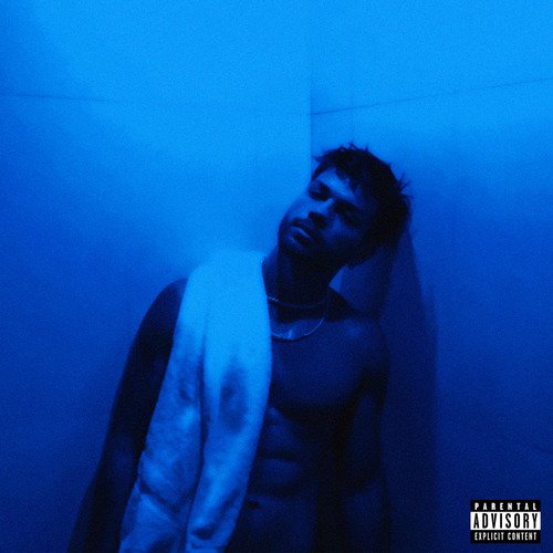 Nos Desvelamos? cover art