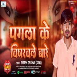 Pagle Ke Vishrwle Bare