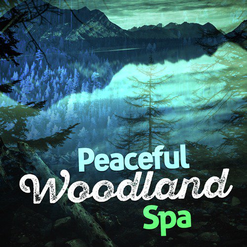 Peaceful Woodland Spa