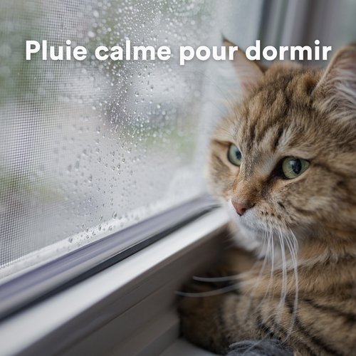 Pluie calme pour dormir_poster_image