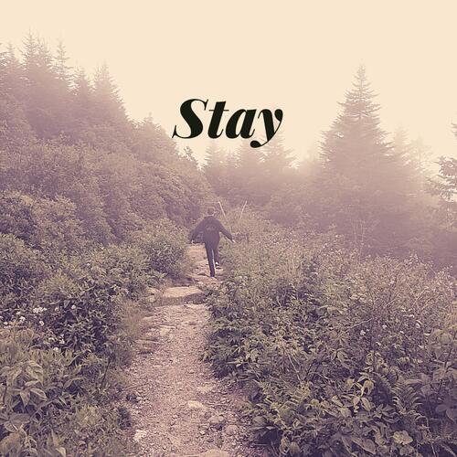 Stay