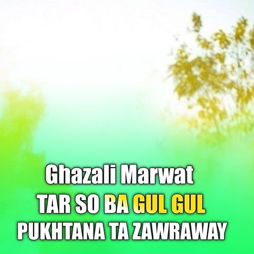 TAR SO BA GUL GUL PUKHTANA TA ZAWRAWAY