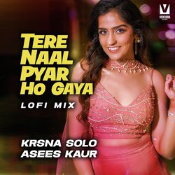 Tere Naal Pyar Ho Gaya (LoFi)-JV0edxJ4WFs