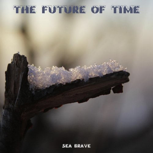 The Future Of Time_poster_image