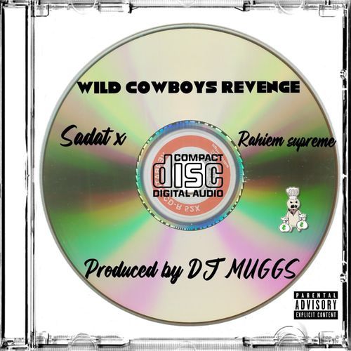 Wild Cowboys Revenge (feat. Rahiem Supreme)_poster_image