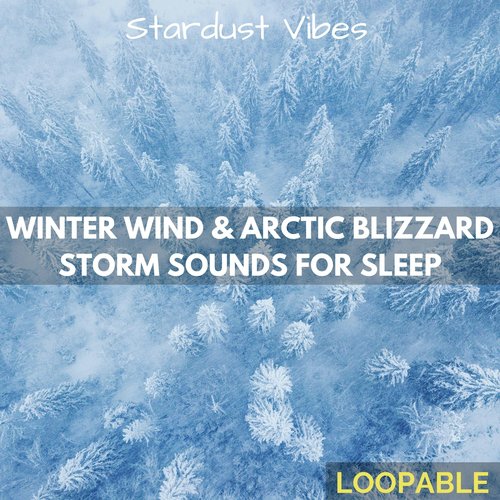 Winter Wind & Arctic Blizzard Storm Sounds for Sleep (Loopable)_poster_image