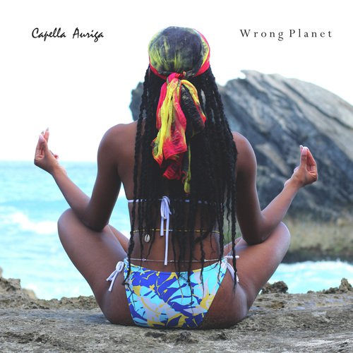 Wrong Planet cover art