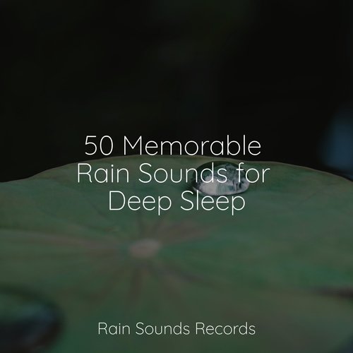 50 Memorable Rain Sounds for Deep Sleep