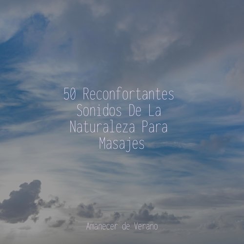 50 Reconfortantes Sonidos De La Naturaleza Para Masajes