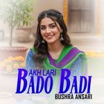 Akh Lari Bado Badi artwork