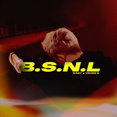 B.S.N.L_poster_image