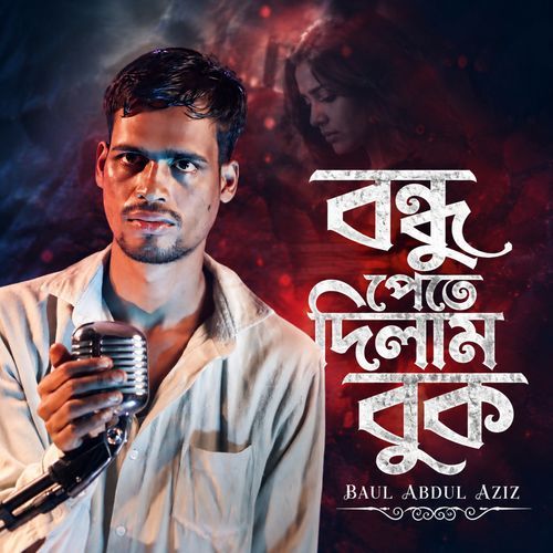 Bondhu Pete Dilam Buk