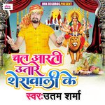 Chala Aarti Utare Sherawali Ke