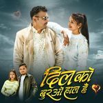 Dil Ko Burao Hal Hai