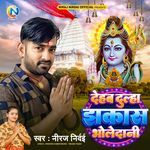 Dehab Dulha Jhakash Bholedani artwork