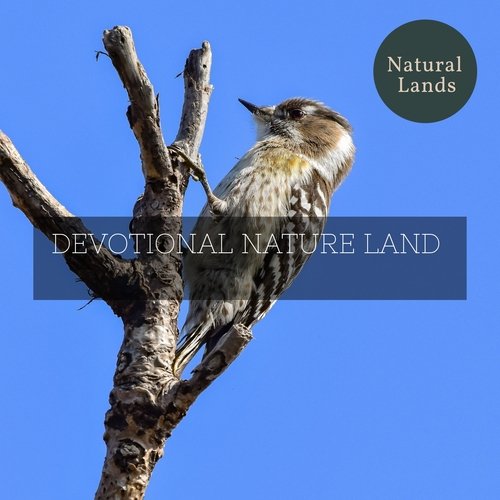 Devotional Nature Land