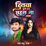 Dilawa Turle Dard Sahal Naa Jata