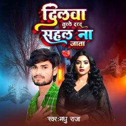 Dilawa Turle Dard Sahal Naa Jata