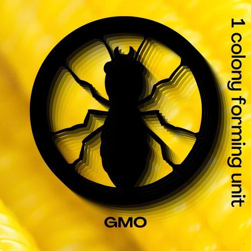 GMO (Glitch Modulated Organism) cover art