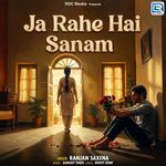 Ja Rahe Hai Sanam