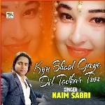 Kyu Bhool Gaye Dil Tod Ke Tum