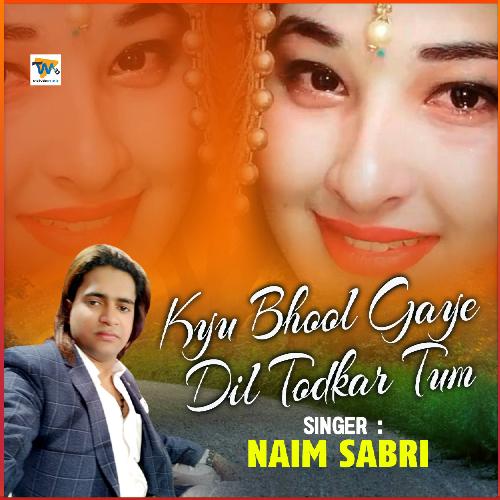 Kyu Bhool Gaye Dil Tod Ke Tum